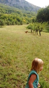 drome region eco farm