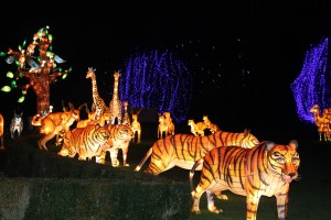 longleatfestivaloflight