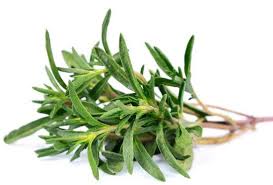 thyme