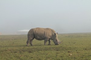 longleat safari dinosaur